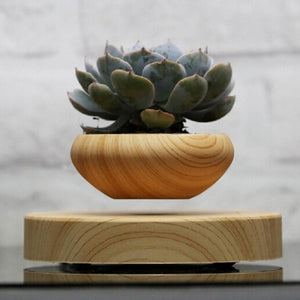 Japanese Levitating Wooden Pot For Your Plants