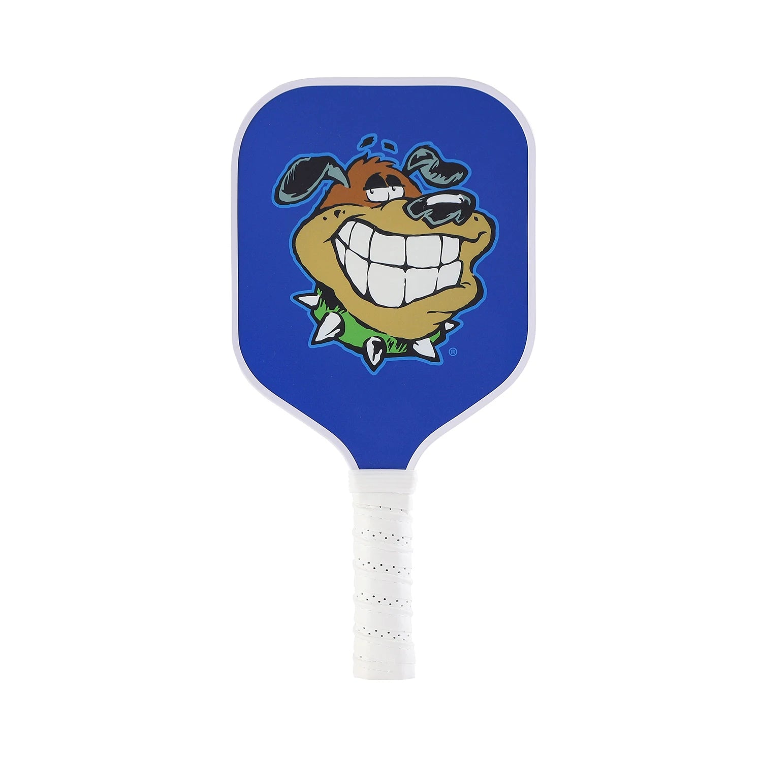 Pickleball Paddle for Kids – Lightweight, Durable & Fun!
