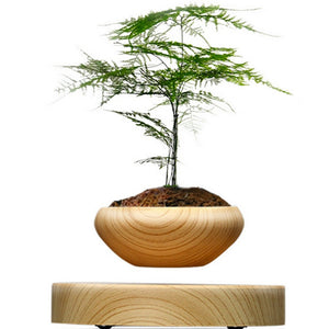 Japanese Levitating Wooden Pot For Your Plants