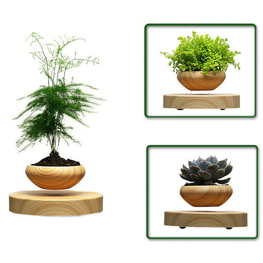 Japanese Levitating Wooden Pot For Your Plants